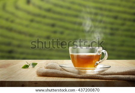 Tea cup with and tea leaf sacking on the wooden table and the tea plantations background