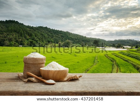 Asian white rice or uncooked white rice with the rice field background