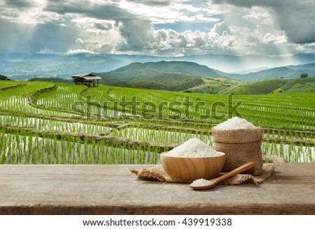Asian white rice or uncooked white rice with the rice field background