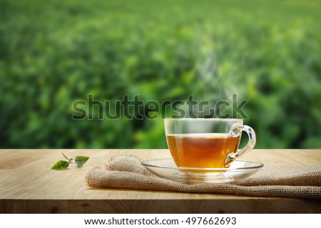 Cup of hot tea and tea leaf on the wooden table and the tea plantations background