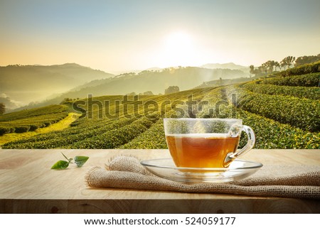 Cup of hot tea and tea leaf on the wooden table and the tea plantations background