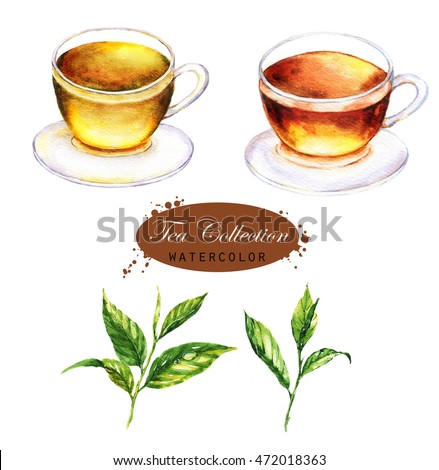 Hand-drawn watercolor illustration of the tea. Cup of the black and green tea and tea leaves isolated on the white background.