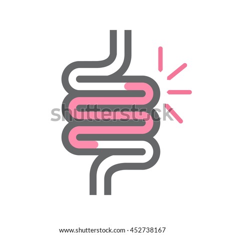 Rectum Stock Images, Royalty-Free Images & Vectors | Shutterstock