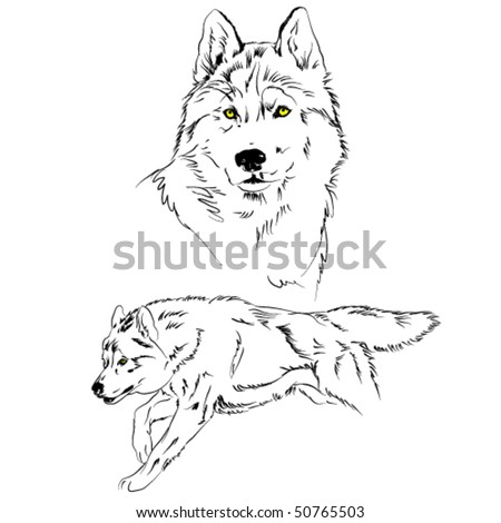 Wolf Running Stock Vectors & Vector Clip Art | Shutterstock