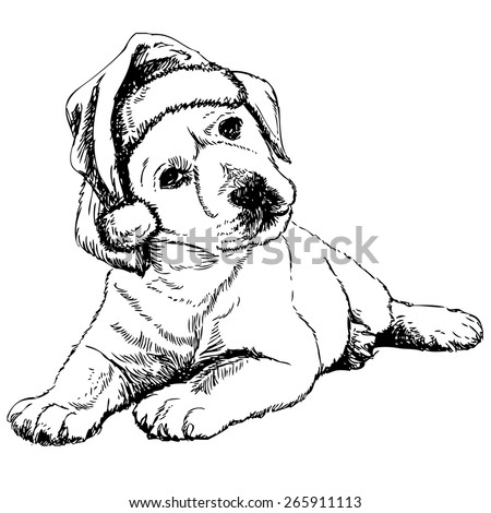 Detailed Christmas Dog Coloring Pages