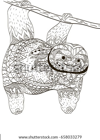 sloth on branch coloring book adults stock illustration