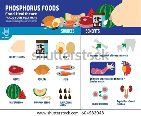  Low Protein Levels In Renal Failure All Articles about 