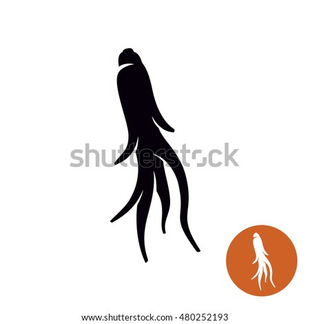 Ginseng root plant simple icon illustration