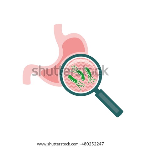 h pylori research paper Endangered species in the stomach, martin j blase - h pylori and its interactions with humans in an endangered making h pylori a vital microorganism to research in order to expand the study click the button above to view the complete essay, speech, term paper, or research paper. h pylori research paper Endangered species in the stomach, martin j blase - h pylori and its interactions with humans in an endangered making h pylori a vital microorganism to research in order to expand the study click the button above to view the complete essay, speech, term paper, or research paper.