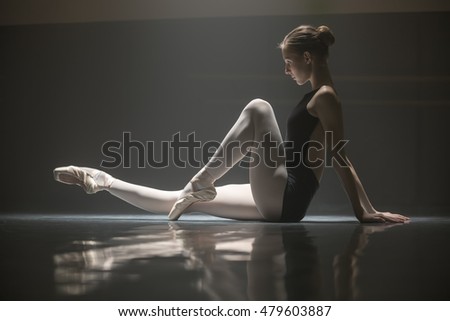 Ballet Dance Stock Images, Royalty-Free Images & Vectors | Shutterstock