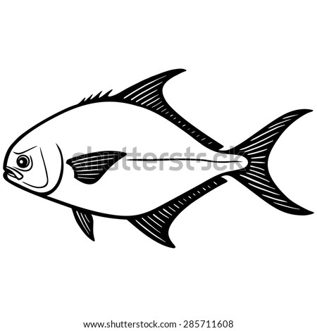 Pompano Fish Stock Images, Royalty-Free Images & Vectors | Shutterstock