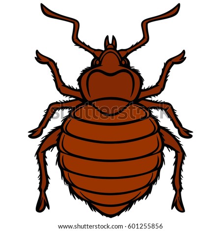 Bed Bug Graphic Stock Vector 601255856 - Shutterstock