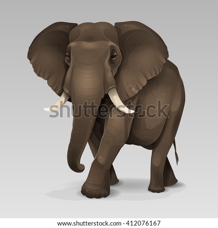African elephant 2