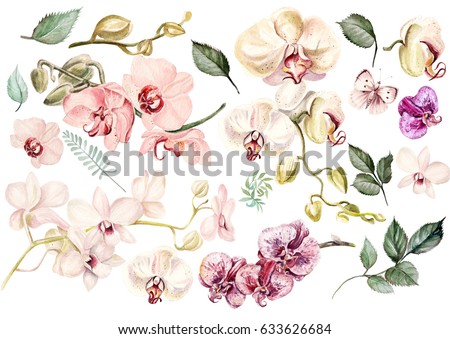 Beautiful watercolor set with orchids. Illustration