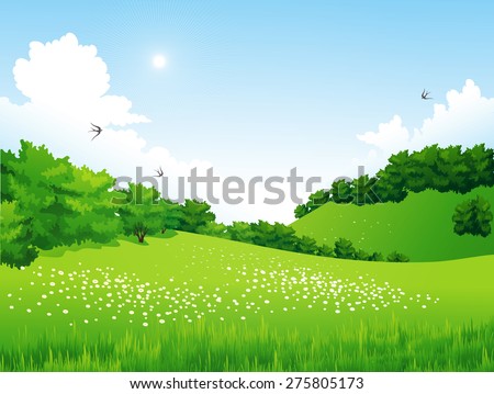 Vector Green Landscape with trees, clouds, flowers. Summer meadow