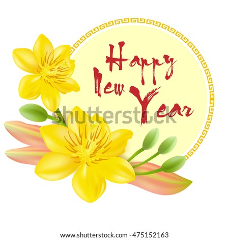 Yellow Apricot Flower, traditional lunar new year in Vietnam