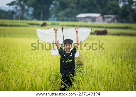BAC GIANG,VIETNAM-JULY 10: Rural children fly kites in the rice fields. JULY 10,2014 in BAC GIANG, VIETNAM