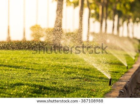 sprinkler head watering the bush and grass in the garden