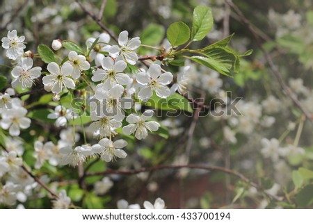 stock images royalty free images vectors shutterstock stock images royalty free images vectors shutterstock