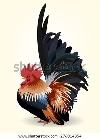 Bantam Stock Photos, Images, & Pictures | Shutterstock