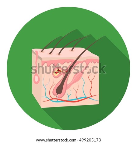 epidermis stock photo images 1 157 epidermis royalty free images and photography available to sweat gland stock images royalty free images vectors epidermis stock photo images 1 157 epidermis royalty free images and photography available to sweat gland stock images royalty free images vectors