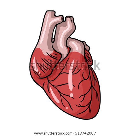 Human Heart Icon Cartoon Style Isolated Stock Vector 519742009 ...