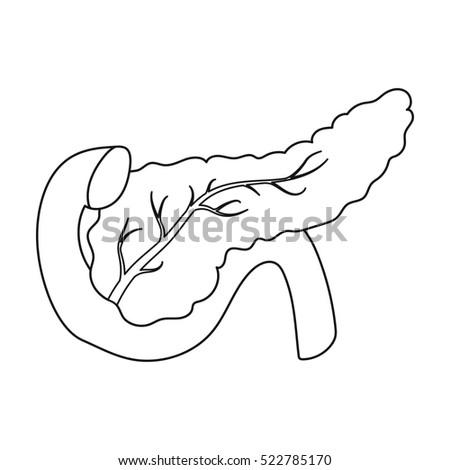 Pancreas Coloring Page Pages Sketch Coloring Page