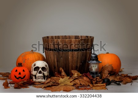 baby/pet digital Halloween backdrop
