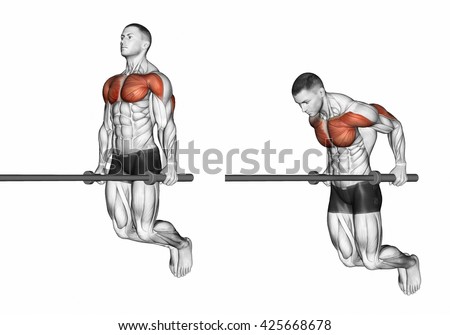 Ring Dips Vs Bar Dips Ring Dips Vs Bar Dips