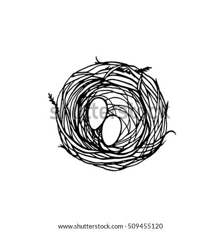 Vector Illustration Of Hand Drawn Bird Nest With Eggs Graphic Style Beautiful