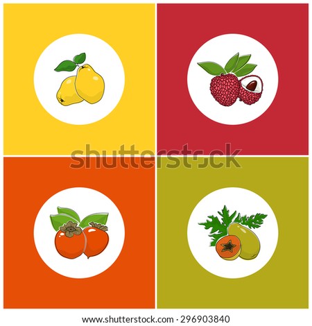 Fruit Icons, Round White Berry Icons on Colorful Background, Papaya and Lychee , Persimmon and Quince , Vector Illustration