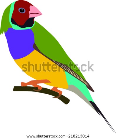 Gouldian Finch Stock Photos, Images, & Pictures | Shutterstock