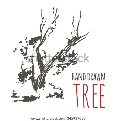 Hand Drawn Tree Japanese Tree Vector Stock Vector (Royalty Free