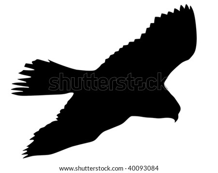 silhouette of gyrfalcon - stock vector