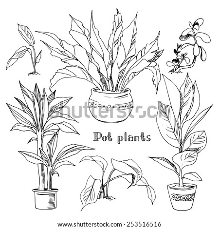 Pot Plants Set Vector Illustration Flowers Stock Vector 253516516