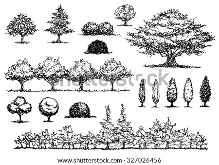 Set Free Hand Drawing Trees Vector Stock Vector 327026456 - Shutterstock