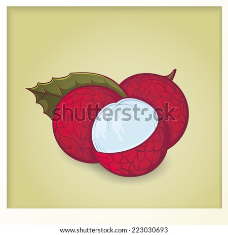colorful litchi vector illustration