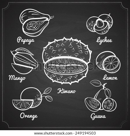 chalk painted exotic fruit set on black chalkboard vector illustration