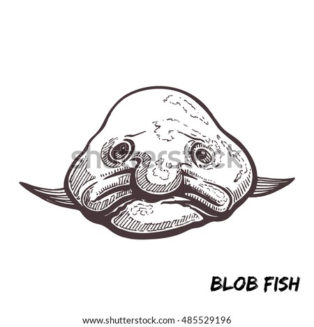 Deep Sea Fish Blobfish Sketch Outline Stock Vector 485529196 - Shutterstock