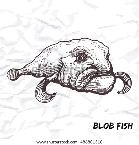 Blobfish Stock Images, Royalty-Free Images & Vectors | Shutterstock