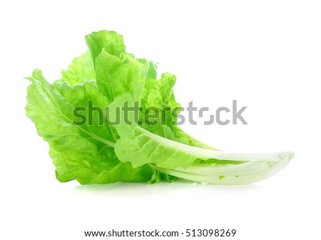 Lettuce Leaves Isolated On White Background Stock Photo 513098269