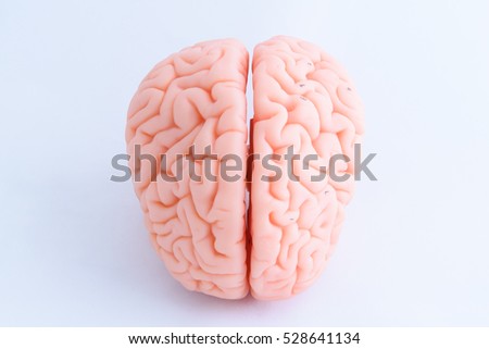 muscular organ stock photos, royalty-free images & vectors muscular organ stock photos, royalty-free images & vectors, Muscles