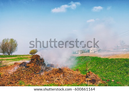Environmental pollution