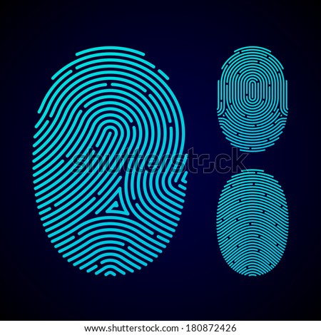 fingerprint patterns