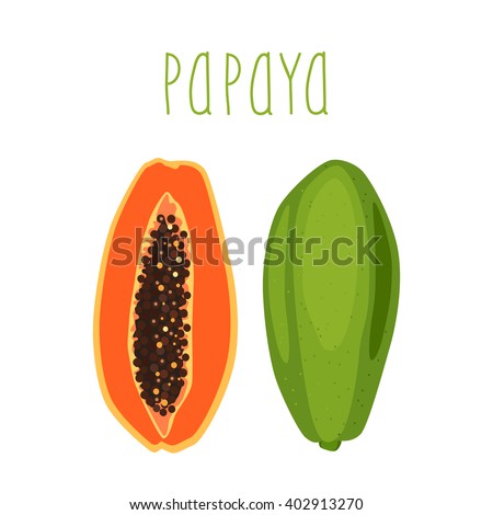 Bright tropical fruit - papaya, whole or half of a sectional with seeds on a white background. Vector illustration.
