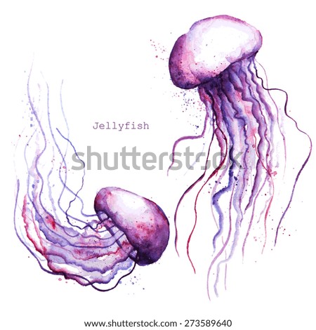 Vector watercolor jellyfish
