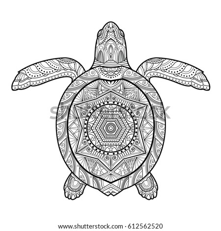 Of Turtles Coloring Pages For Adults. Of. Best Free 