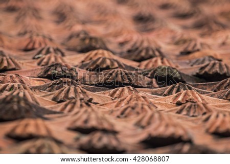 BAC NINH, VIETNAM - JULY 25, 2015 - Any tiles on the But Thap pagoda, a grandiose architecture representing high spiritual values of human life