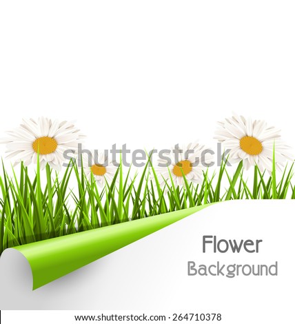 Green grass lawn with white chamomiles and wrapped paper sheet 