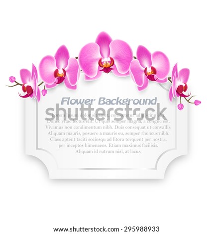 Pink Orchid Flowers with Celebration Frame Isolated on White Background